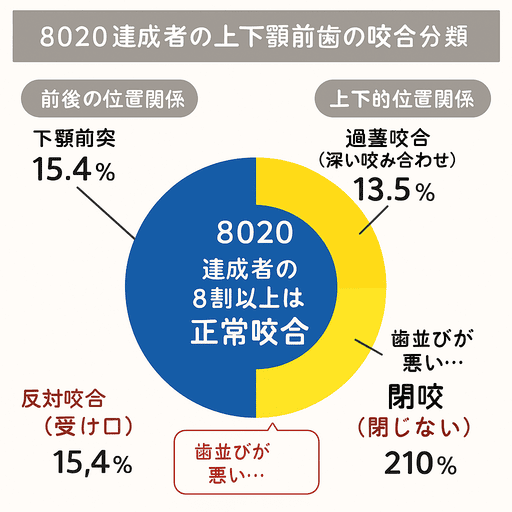 8020達成者の噛み合わせ分類を示す円グラフ