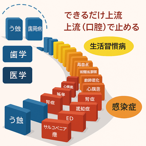 慶應義塾大学医学部 伊藤裕先生による疾患進行ドミノの図