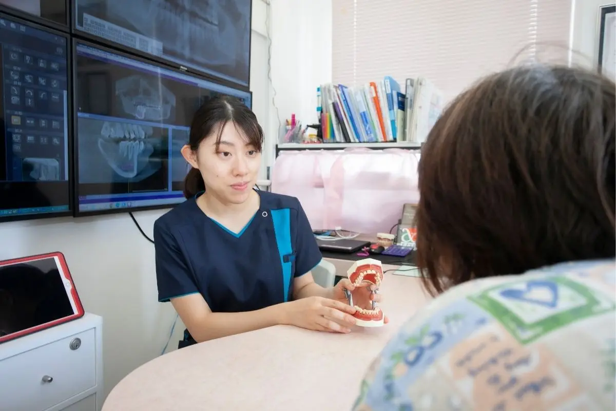模型を使ってカウンセリングする中央歯科クリニックのスタッフ