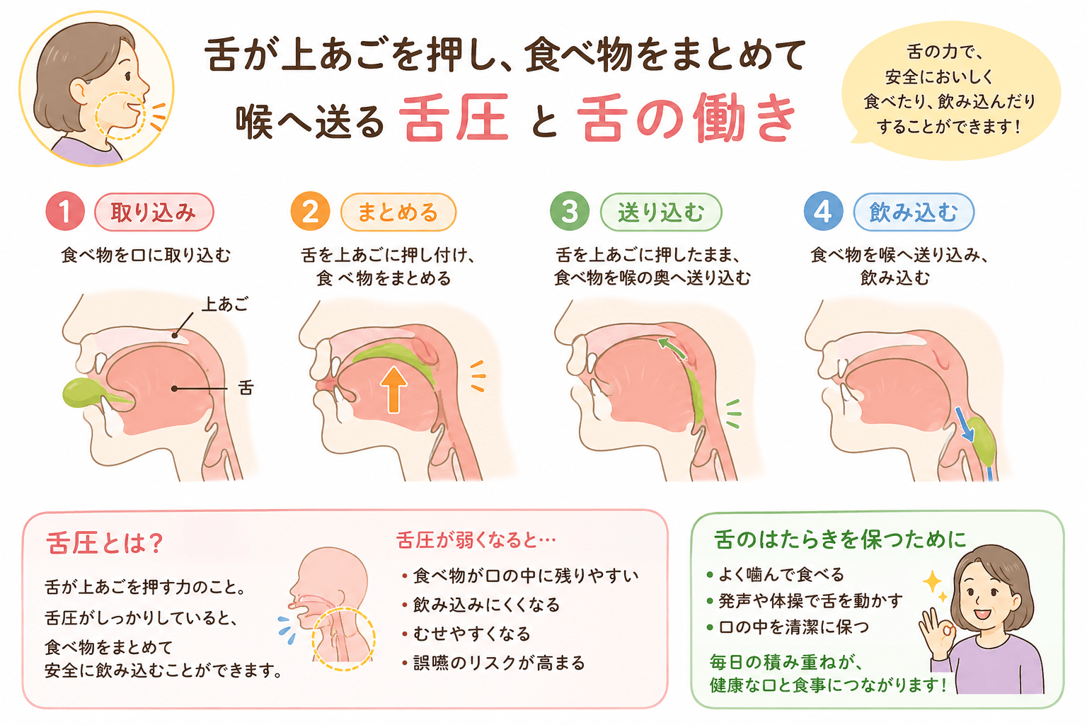舌が上あごを押し食べ物をまとめて喉へ送る舌圧と舌の働き
