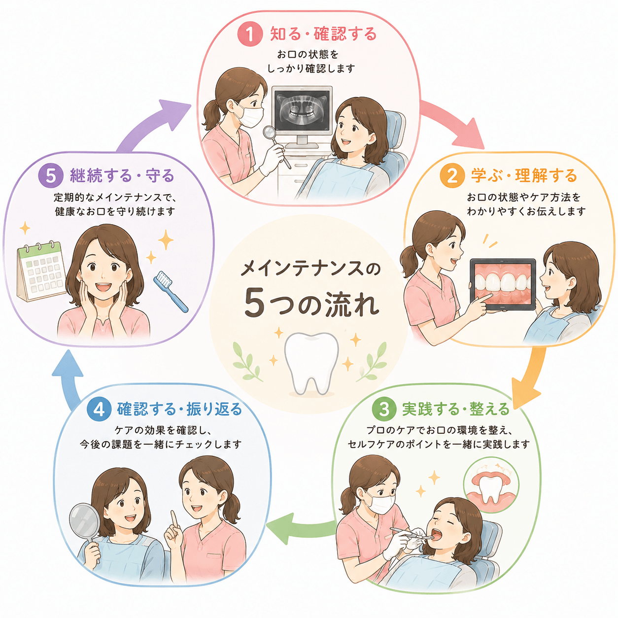 自宅での歯みがきと歯科医院でのプロによるチェックを組み合わせた予防歯科のイラスト