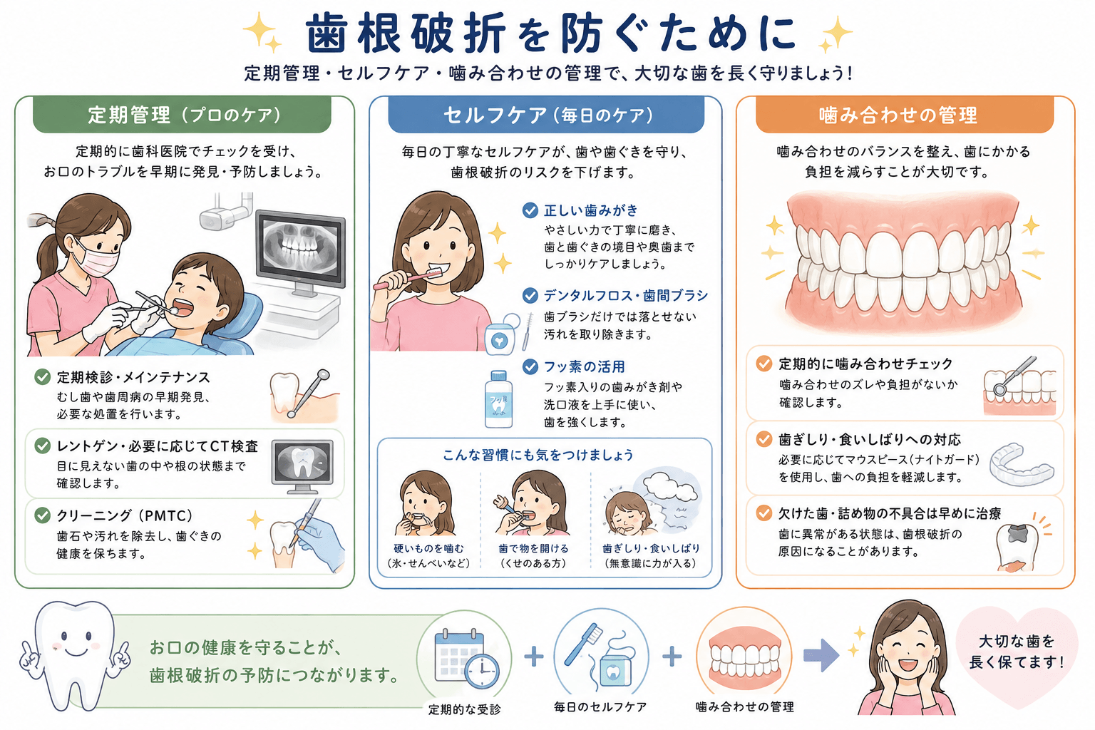 歯根破折を予防するための定期管理、セルフケア、噛み合わせ管理を示した患者向けイラスト